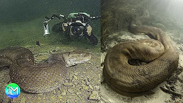Come si presentano i fondali oceanici?