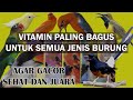 Vitamin Paling Bagus Untuk Semua Jenis Burung Agar Gacor Sehat Juara Dari Aves Star Mp3 - Mp4 Download
