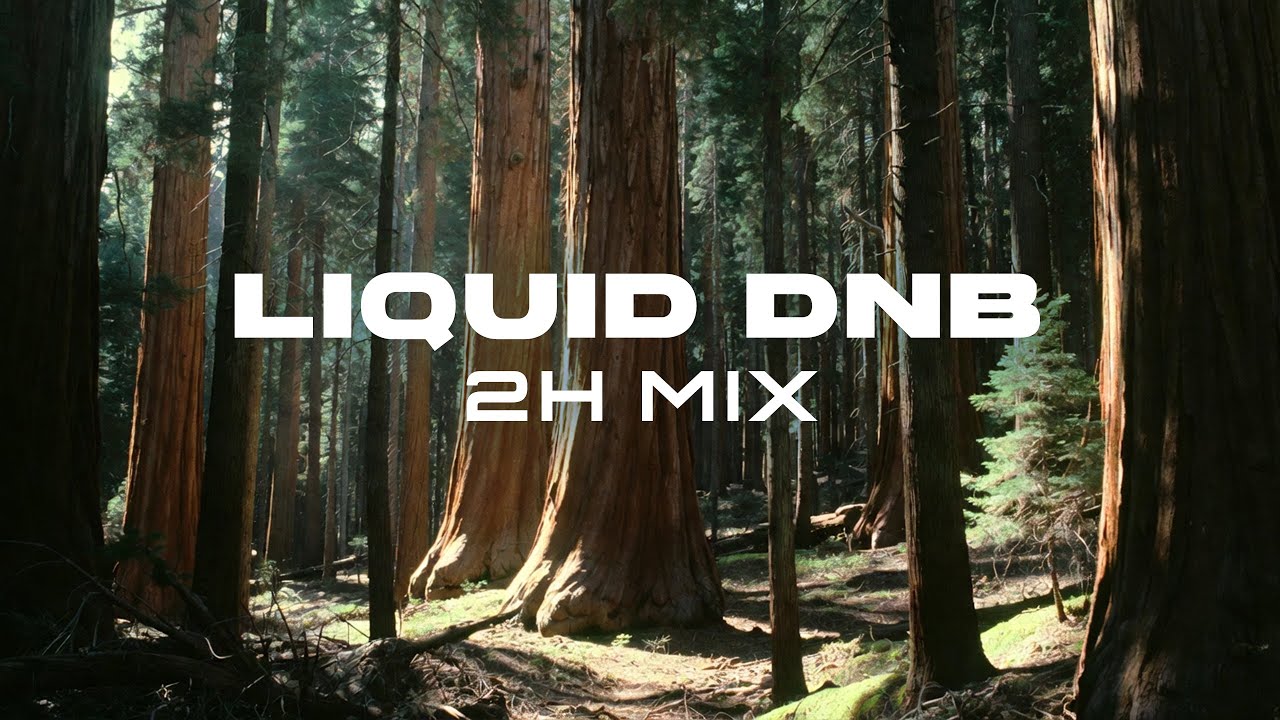 Sequoia Park 🌲 — Deep Chill & Melodic Liquid Drum & Bass | 2 Hour Mix