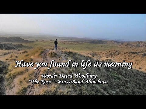 Have you found in life's its meaning