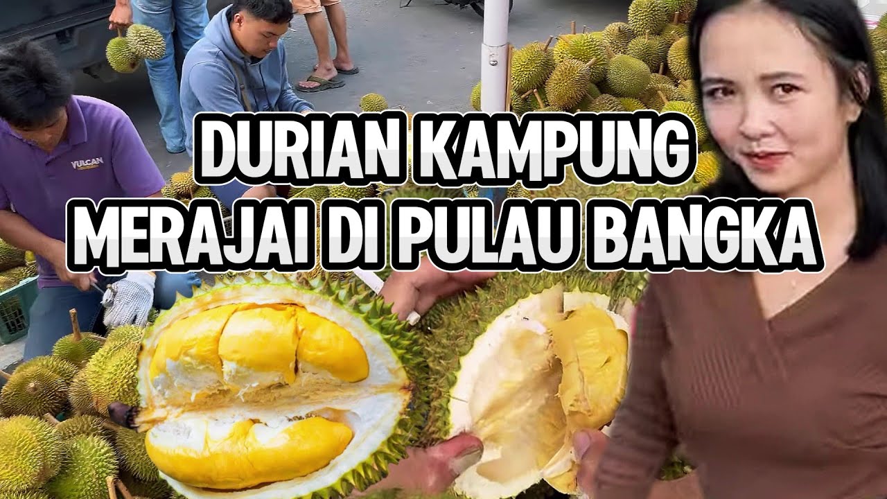 DURIAN HITAM ADA DI PULAU BANGKA⁉️ KITA LANGSUNG KE LOKASI.