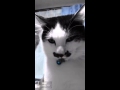 ナツメの声