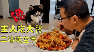 主人吃美食让二哈吃空气，二哈气得破口大骂，骂骂咧咧的笑死我了【马桶的逗比狗生】