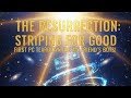 ​💻 Resurrection Project: Phase 1 – The Deconstruction Begins! 🛠️​