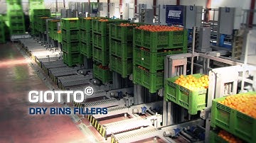 Oranges: processing and sorting machine UNITEC