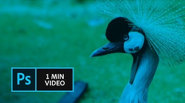 How to use the Smart Sharpen filter in Photoshop