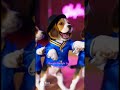 The Boogie Beagle crew performs a Greek dance #aicreation #boogiebeaglecrew #beagles #dance #puppies