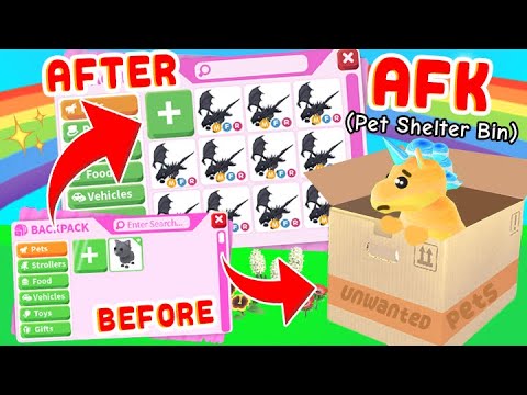 Going AFK As A *ANIMAL SHELTER BOX* for 24 Hours! Roblox Adopt Me - YouTube