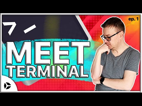 What is Terminal