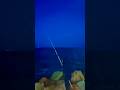 Session de #pêche à Carthage : du vent, des touches… mais rien au bout ! #trending #fishing #viral