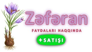 Zəfəran haqqında 🌷 SATIŞI 🇦🇿