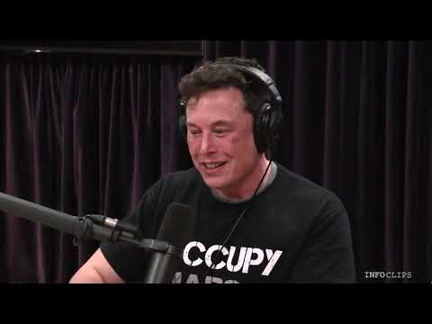 Elon Musk on Joe Rogan – what is Neuralink