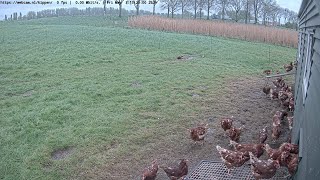 Preview of stream vossenburgrhoon.nl | live webcam.