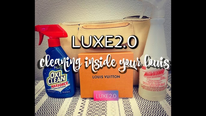 cleaning lv bag｜TikTok Search