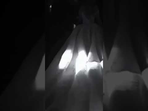 بليله البسلك الابيض