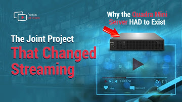 NETINT Technologies about the Genesis of the Quadra Mini Server