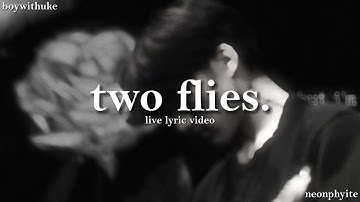 boywithuke - two flies (live lyric video snippet)