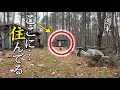 自作の山小屋に泊まろう!ポータブル電源で週末山小屋暮らし!