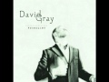 only the wine - david gray