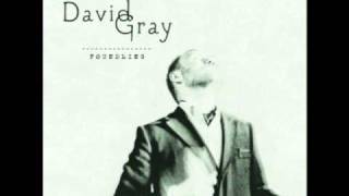 only the wine - david gray chords