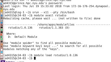 Running a GUI based application on HPC Clusters