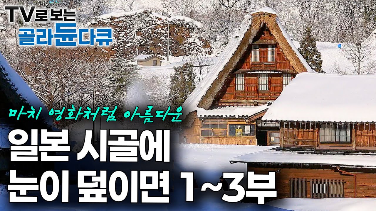이불 속에서 떠나는 설국 여행 ⛄ 마치 영화처럼 일본 시골에 눈이 내리면｜순백의 세계 일본 겨울 여행｜세계테마기행｜#골라듄다큐