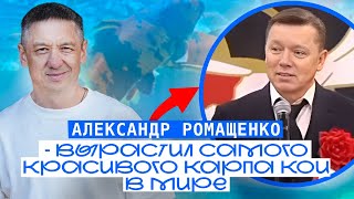 видео: РУССКИЙ Победил на Чемпионате Мира в Японии!! Самый Красивый КАРП КОИ в мире. Александр Ромащенко. картинка: РУССКИЙ Победил на Чемпионате Мира в Японии!! Самый Красивый КАРП КОИ в мире. Александр Ромащенко.