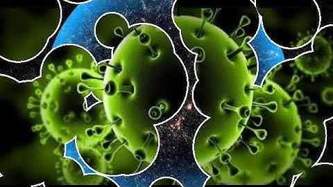 يوم تأتي كل نفس تجادل عن نفسها...(سورة النحل)