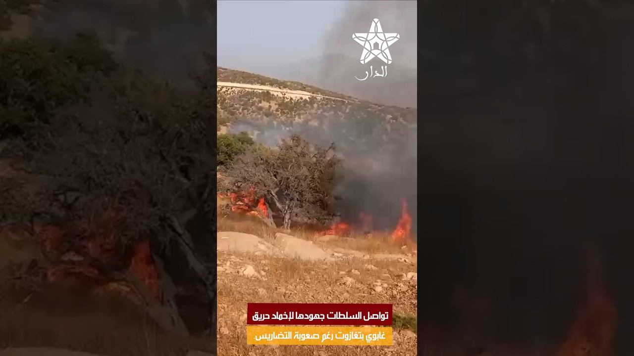 تواصل السلطات جهودها لإخماد حريق غابوي بتغازوت رغم صعوبة التضاريس