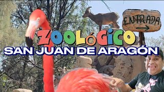 ZOOLÓGICO SAN JUAN DE ARAGÓN en la CIUDAD DE MÉXICO // dónde la naturaleza cobra vida /