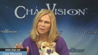 Psychic medium Char Margolis performs a shocking audience reading