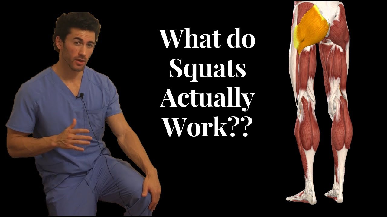 BEFORE YOU SQUAT, Understand the ANATOMY Behind it! (What Muscles