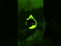 Phonk Use Headset Bass Bassbosted Funk Music Phonk Song Slowed Aveeplayer Phonk Use Headset Bass Bassbosted Funk Music Phonk Song Slowed Aveeplayer
