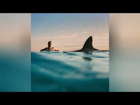 Dua Lipa -