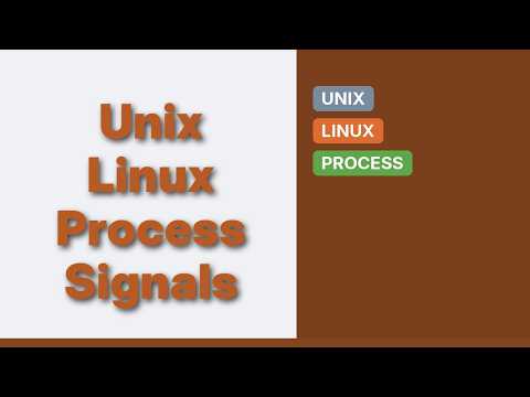 Unix & Linux: Process continues to run after receiving uncaught SIGINT (Ctrl-C from terminal)
