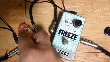 Hotone Wally Looper / EHX Freeze