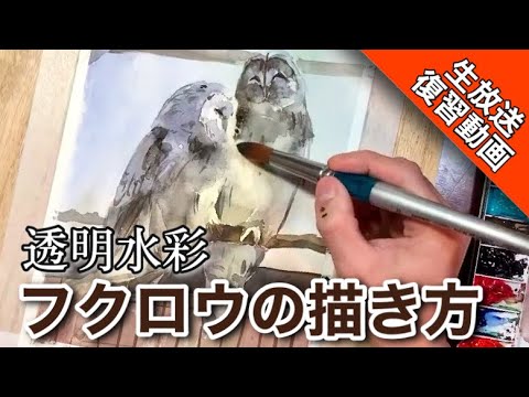 ダイジェスト 透明水彩でフクロウを描く 動物の描き方 How To Draw Water Color Youtube