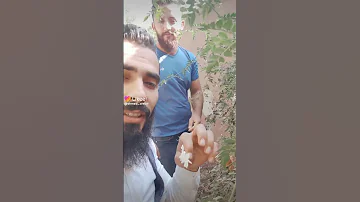 في باب غرقان بريحة الياسمين 