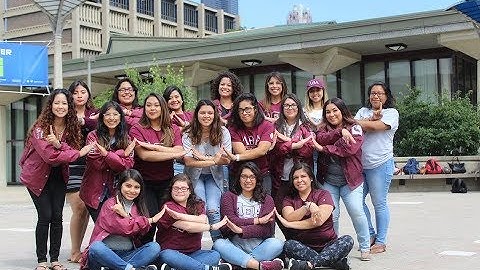 Epsilon Gamma Chapter of Lambda Theta Alpha 2017-2018