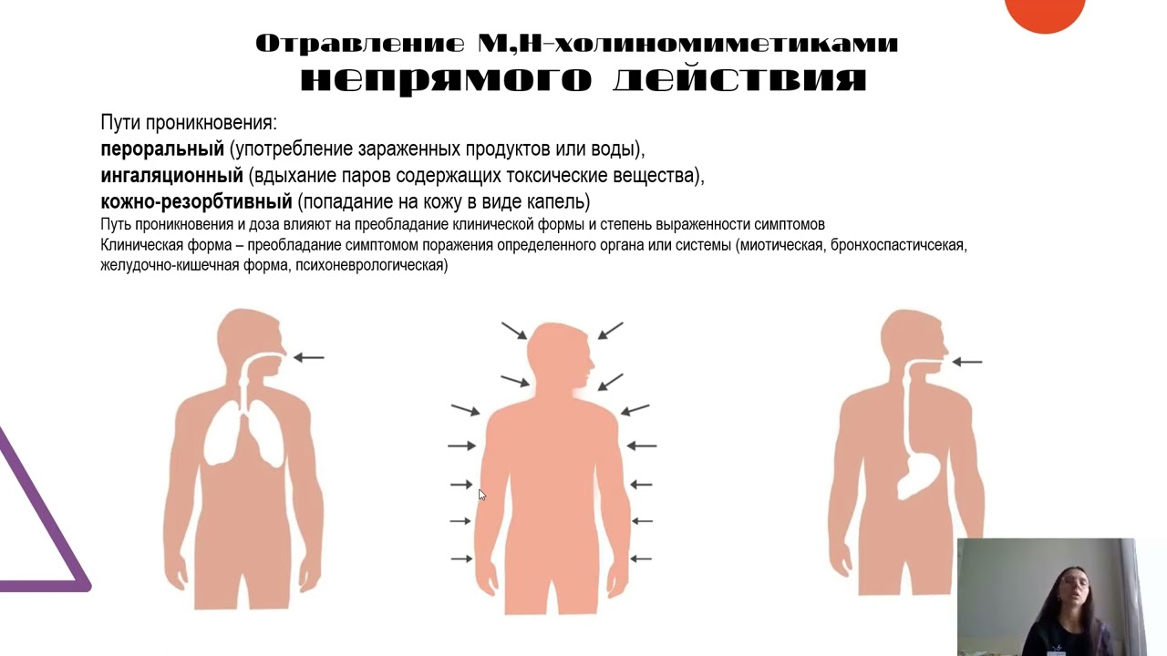 Мирге М.Н. Отравление М,Н-холиномиметиками непрямого действия. Меры помощи.