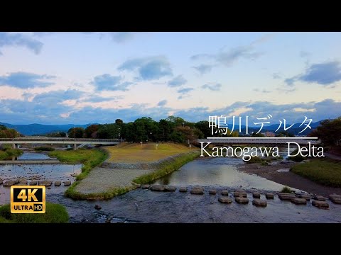 【京都散歩】早朝の鴨川デルタを歩く / Kamogawa Delta（Kyoto, Japan）