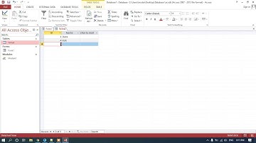 How to generate auto number in ms access use vba