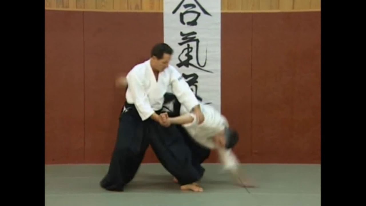 Christian Tissier  Aikido  chudan tsuki  ikkyo omote