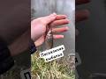 Пасхальная рыбалочка😊