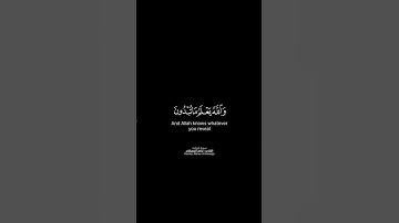 اعلموا أن الله شديد العقاب | كرومات قرآن كريم بصوت #ماهر_المعيقلي | #سورة_المائدة