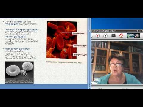 ფუნქციურ სისტემათა ფიზიოლოგია 3(1)