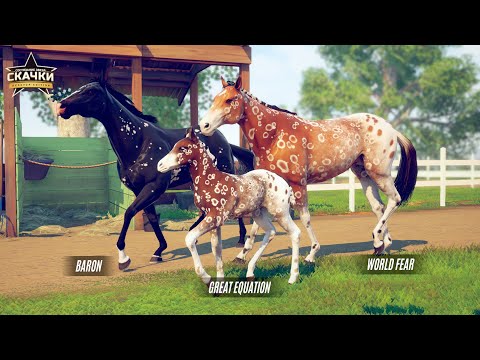 Масть павлинья аппалуза 🌺 Rival Stars Horse Racing 🌺 Версия на ПК