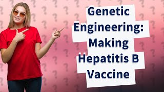 How Does Recombinant DNA Technology Produce Hepatitis B Vaccine