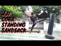 Standing Sandsack Di Uji!!  Ngga Jatuh?