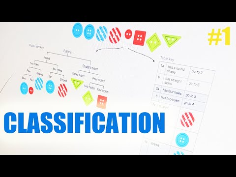 Video: Hvad Er Klassificering